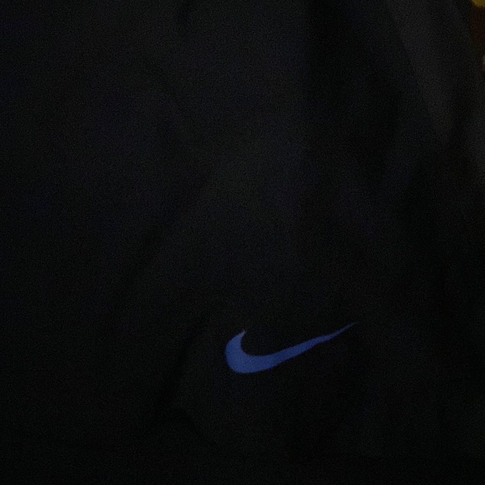 Mens Nike bathing suit